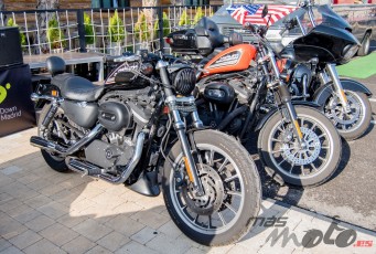 Moto Encuentro Down Madrid 2019