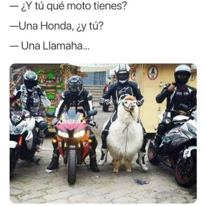 Chiste Meme Motero